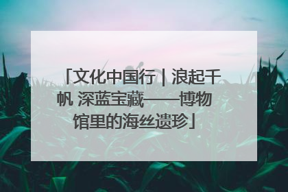 文化中国行｜浪起千帆 深蓝宝藏——博物馆里的海丝遗珍