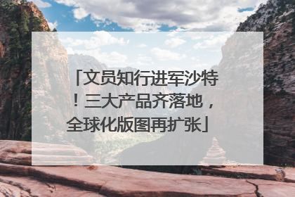 文员知行进军沙特！三大产品齐落地，全球化版图再扩张