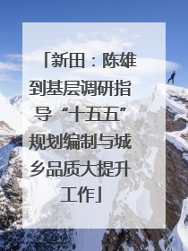 新田：陈雄到基层调研指导“十五五”规划编制与城乡品质大提升工作