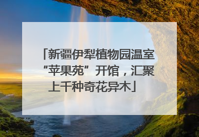 新疆伊犁植物园温室“苹果苑”开馆，汇聚上千种奇花异木