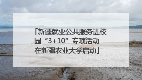 新疆就业公共服务进校园“3+10”专项活动在新疆农业大学启动