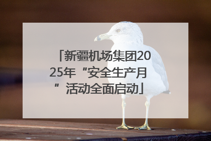 新疆机场集团2025年“安全生产月”活动全面启动
