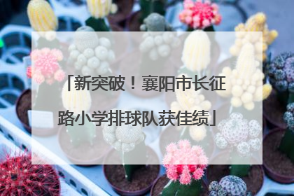 新突破！襄阳市长征路小学排球队获佳绩