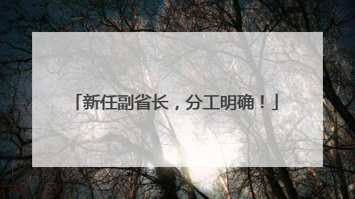 新任副省长，分工明确！