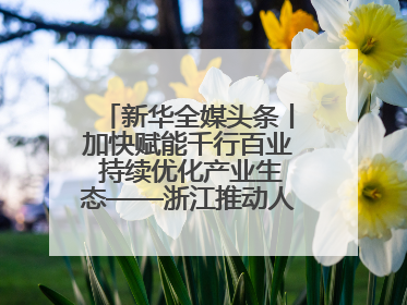 新华全媒头条丨加快赋能千行百业 持续优化产业生态——浙江推动人工智能健康有序发展观察