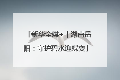 新华全媒+｜湖南岳阳：守护碧水迎蝶变