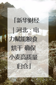 新华财经｜河北：电力赋能粮食烘干 确保小麦高质量归仓