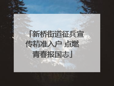 新桥街道征兵宣传精准入户 点燃青春报国志
