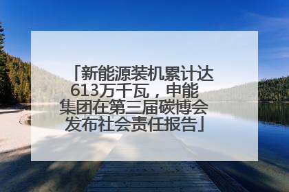 新能源装机累计达613万千瓦，申能集团在第三届碳博会发布社会责任报告