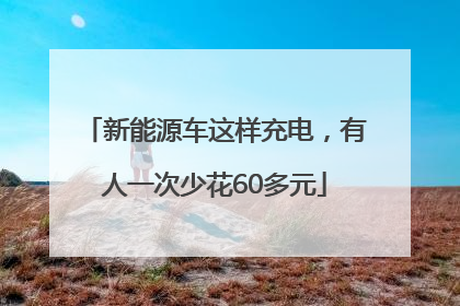 新能源车这样充电，有人一次少花60多元