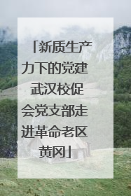 新质生产力下的党建 武汉校促会党支部走进革命老区黄冈