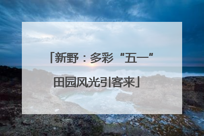 新野：多彩“五一” 田园风光引客来