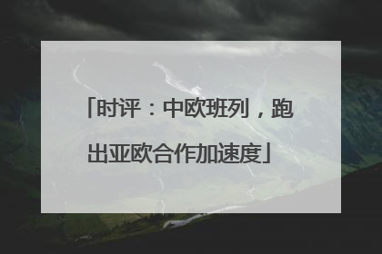 时评：中欧班列，跑出亚欧合作加速度