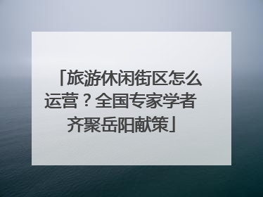 旅游休闲街区怎么运营？全国专家学者齐聚岳阳献策