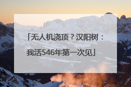 无人机浇顶？汉阳树：我活546年第一次见