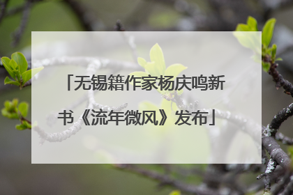 无锡籍作家杨庆鸣新书《流年微风》发布