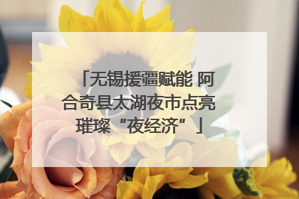 无锡援疆赋能 阿合奇县太湖夜市点亮璀璨“夜经济”