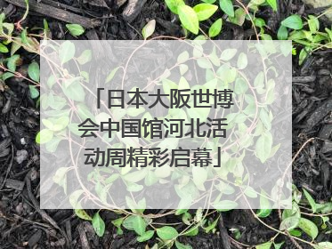 日本大阪世博会中国馆河北活动周精彩启幕