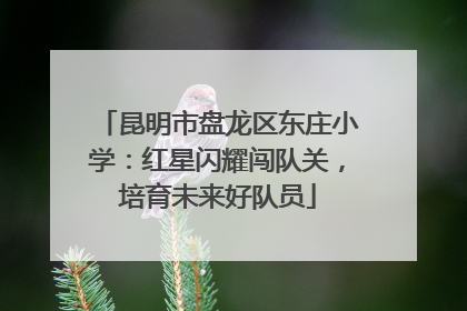 昆明市盘龙区东庄小学：红星闪耀闯队关，培育未来好队员