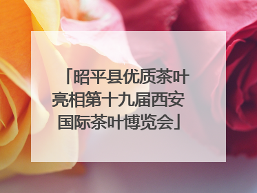昭平县优质茶叶亮相第十九届西安国际茶叶博览会