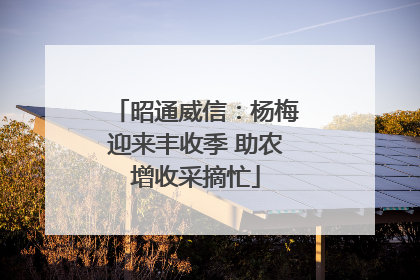 昭通威信：杨梅迎来丰收季 助农增收采摘忙