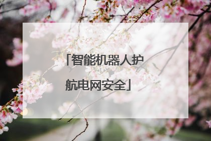 智能机器人护航电网安全