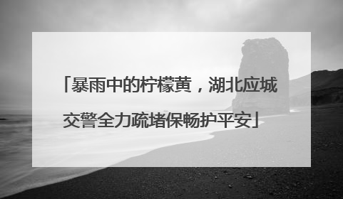 暴雨中的柠檬黄，湖北应城交警全力疏堵保畅护平安