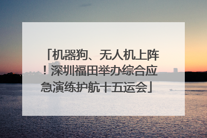 机器狗、无人机上阵！深圳福田举办综合应急演练护航十五运会