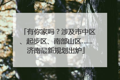 有你家吗？涉及市中区、起步区、南部山区……济南最新规划出炉
