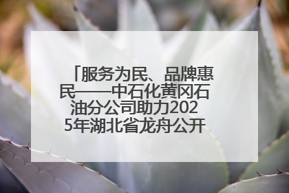 服务为民、品牌惠民——中石化黄冈石油分公司助力2025年湖北省龙舟公开赛（黄冈站）