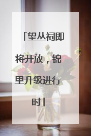 望丛祠即将开放，锦里升级进行时