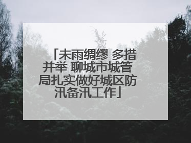 未雨绸缪 多措并举 聊城市城管局扎实做好城区防汛备汛工作