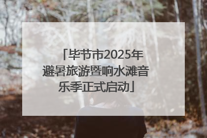 毕节市2025年避暑旅游暨响水滩音乐季正式启动