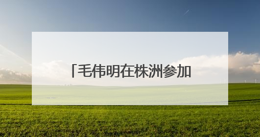 毛伟明在株洲参加省人大代表小组调研北斗产业主题活动