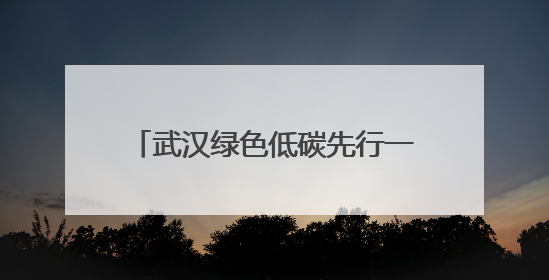 武汉绿色低碳先行一步，39位居民用碳减排量抵扣贷款利息