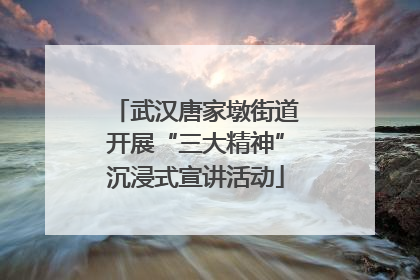 武汉唐家墩街道开展“三大精神”沉浸式宣讲活动