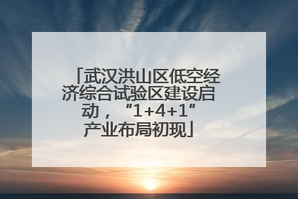 武汉洪山区低空经济综合试验区建设启动，“1+4+1”产业布局初现