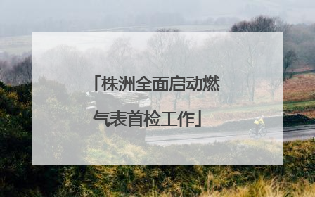 株洲全面启动燃气表首检工作