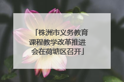 株洲市义务教育课程教学改革推进会在荷塘区召开