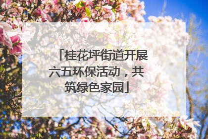 桂花坪街道开展六五环保活动，共筑绿色家园