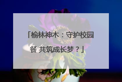 榆林神木：守护校园餐 共筑成长梦？