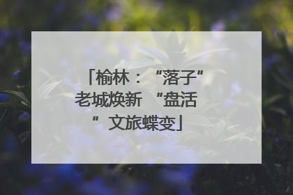 榆林：“落子”老城焕新 “盘活”文旅蝶变