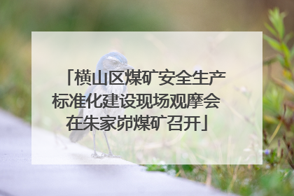 横山区煤矿安全生产标准化建设现场观摩会在朱家峁煤矿召开