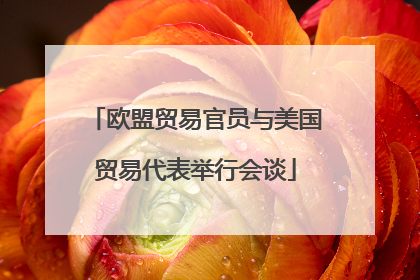 欧盟贸易官员与美国贸易代表举行会谈