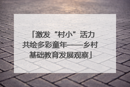 激发“村小”活力 共绘多彩童年——乡村基础教育发展观察