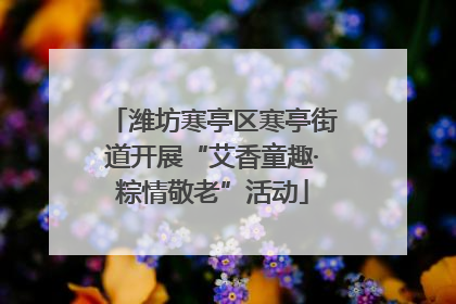 潍坊寒亭区寒亭街道开展“艾香童趣·粽情敬老”活动