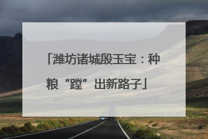 潍坊诸城殷玉宝：种粮“蹚”出新路子