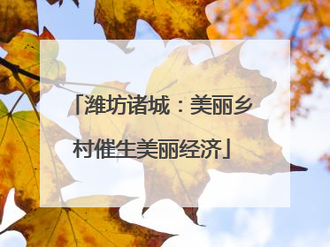 潍坊诸城：美丽乡村催生美丽经济