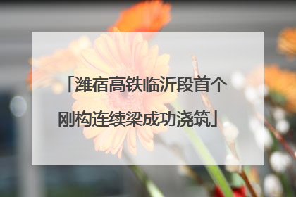 潍宿高铁临沂段首个刚构连续梁成功浇筑