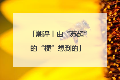 潮评丨由“苏超”的“梗”想到的